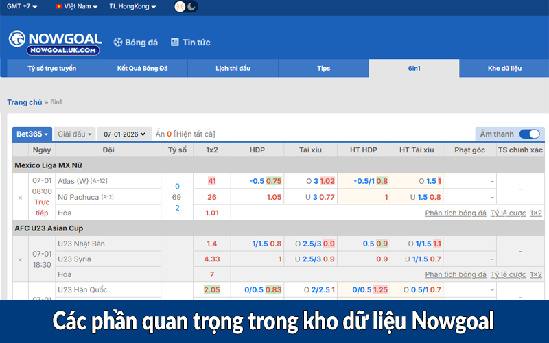 Các phần quan trọng trong kho dữ liệu Nowgoal
